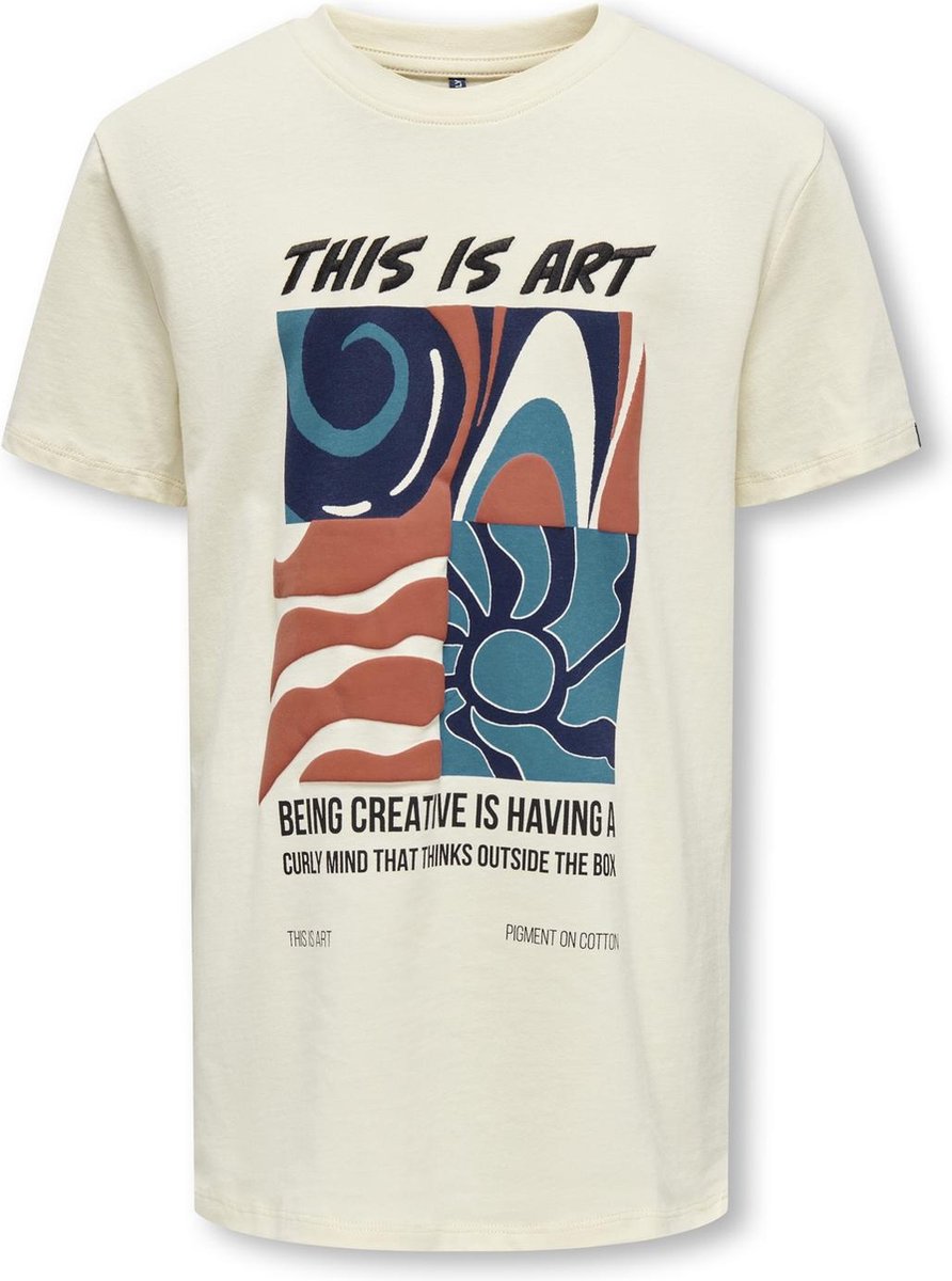 ONLY jongens T-shirt MAYFAIR Whitecap Gray This Is Art Regular Fit