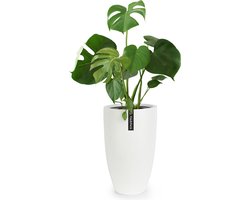 Fox & Fern Bloempot met stop, Bloempot groot voor binnen/buiten, Sierpot UV- & vorstbestendig, Polystone-bloempotten wit, Bloempot 30 cm diameter, Grote plantenpot voor kamerplanten