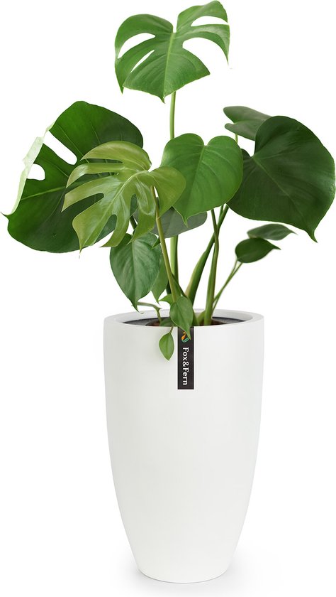 Fox&Fern Planter L - Pot de fleurs Extra large avec drainage - Hauteur du pot de fleurs 50 cm - Jardinières pour Plantes d'intérieur - Groot pot de fleurs également adapté à l'extérieur - Pot de fleurs - Pot de fleurs Wit