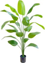 Kunst Bananenplant 180cm | Bananen kunstplant | Kunstplant voor binnen | Grote Kunstplant | Kunstplant Groen | Nep Bananenplant