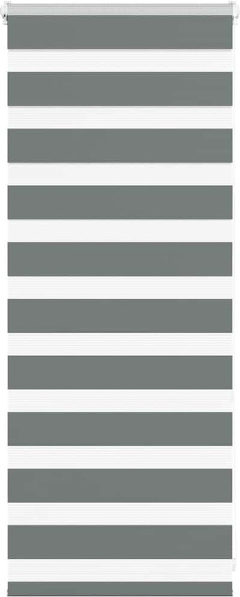 vidaXL - Zebra - rolgordijn - 55x100 - cm - stofbreedte - 50,9 - cm - donkergrijs