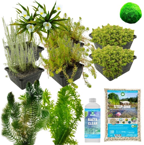 Aquagart 6 Kokos Pflanzkorb 20 x 20 x 15cm Teichkorb für Ufermatte & Böschungsmatte kaufen bei