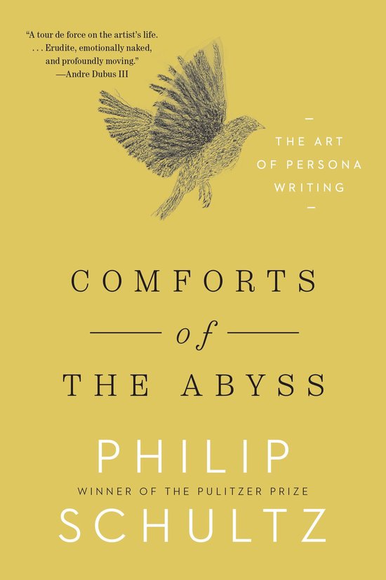 Comforts of the Abyss - cover