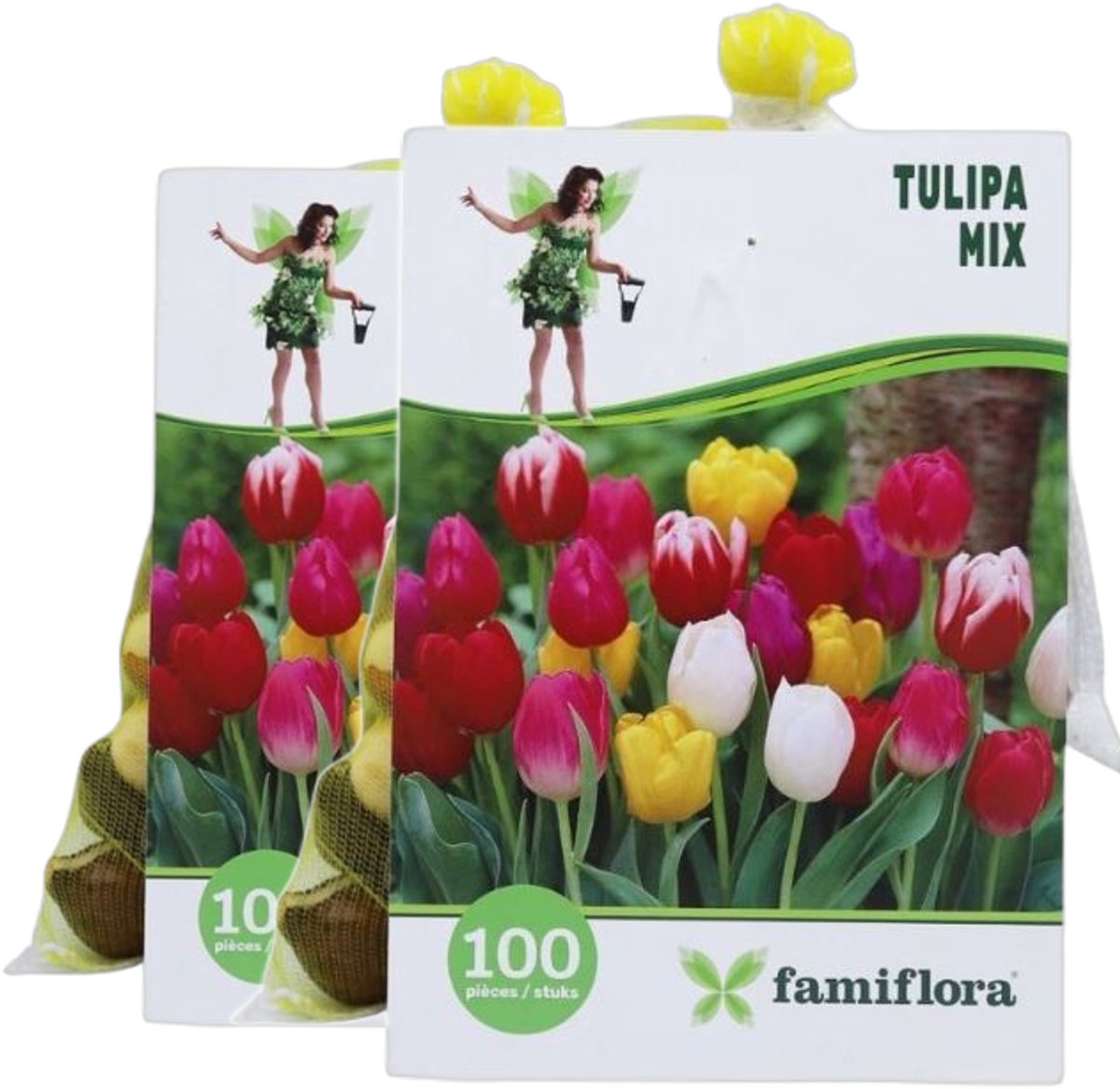 Famiflora Tulipa Mix 2 x 100 - 200 bloembollen - Overvloed aan tulpen voor een vrolijke en levendige tuin - Creëert een kleurige en energieke buitenruimte die het voorjaar viert