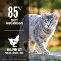 Grijze kat die op een houten hek loopt, met de tekst 85% Kwaliteit Dierlijke Ingrediënten.