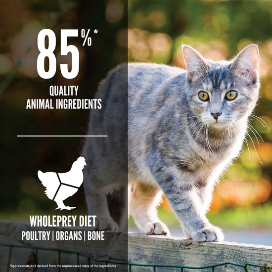 Grijze kat die op een houten hek loopt, met de tekst 85% Kwaliteit Dierlijke Ingrediënten.