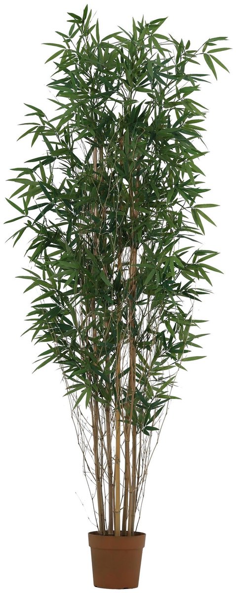 Florafy Kunstplant Bamboe 210cm - Kunstplanten voor binnen - Onderhoudsvrij Groen