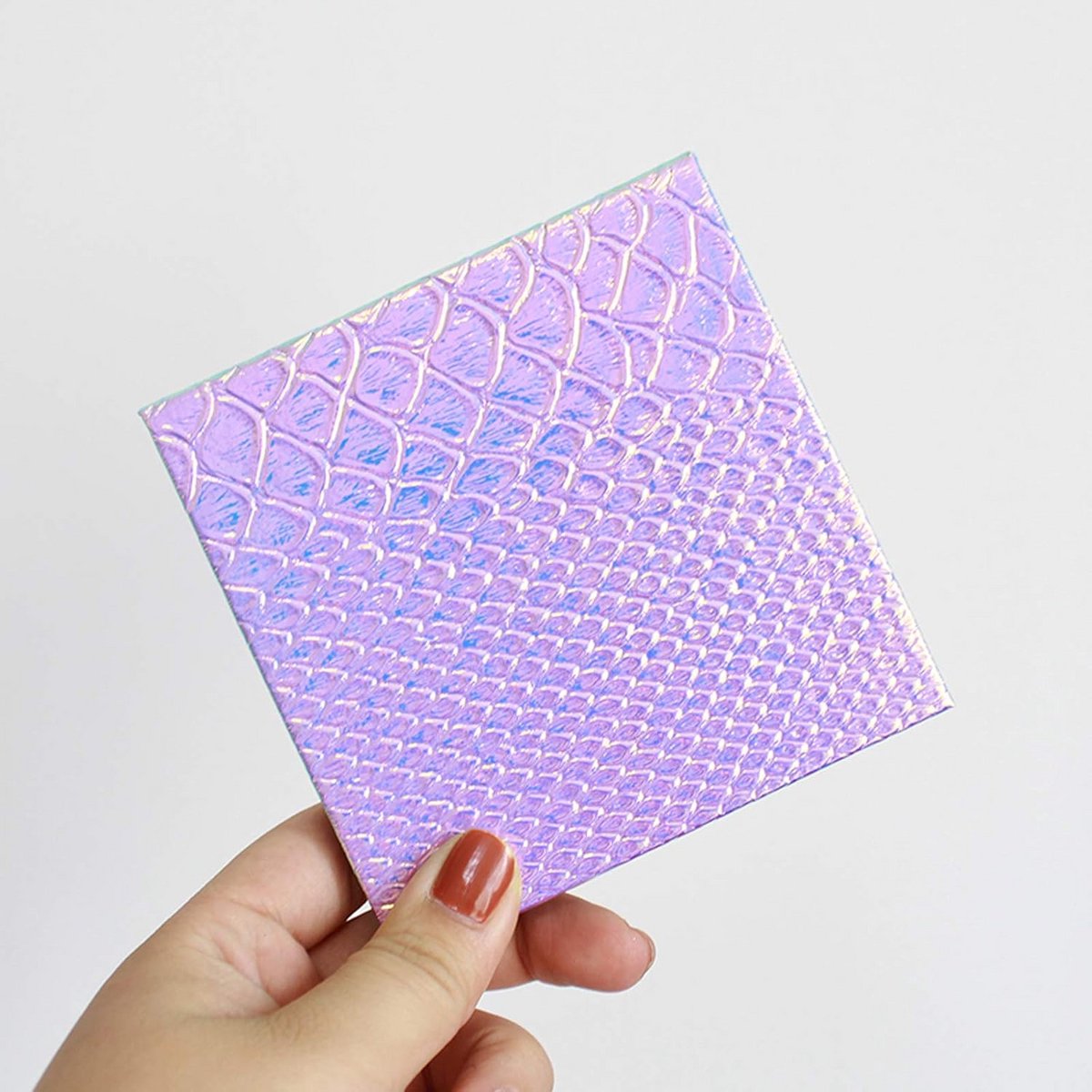 Magnetische Lege Oogschaduw Palet – DIY Make-up Opbergdoos met Visschub Design