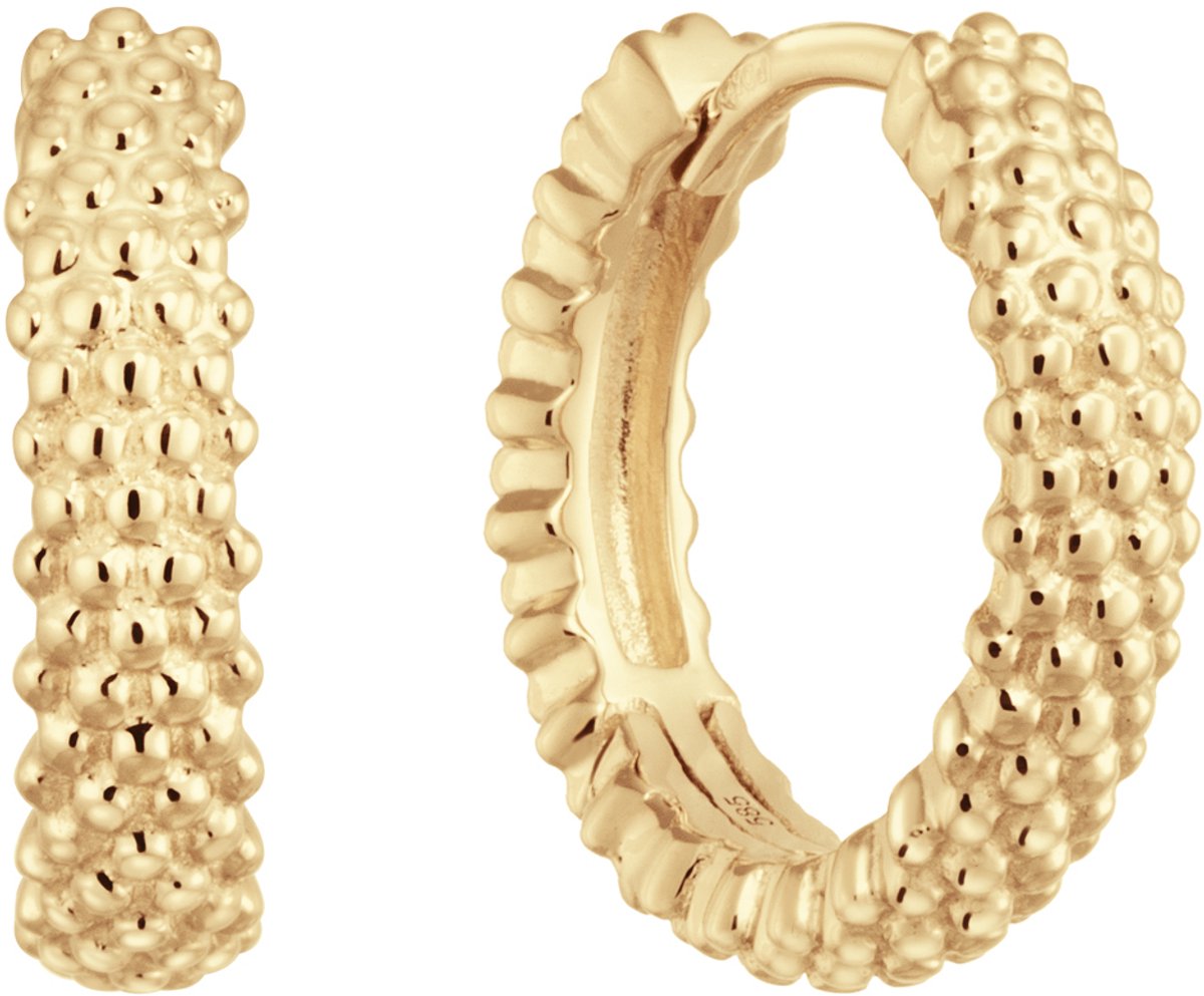 Glow 207.1226.00 Dames Oorbellen - Oorringen - Sieraad - 14 Karaat Goud - 14.5 mm lang