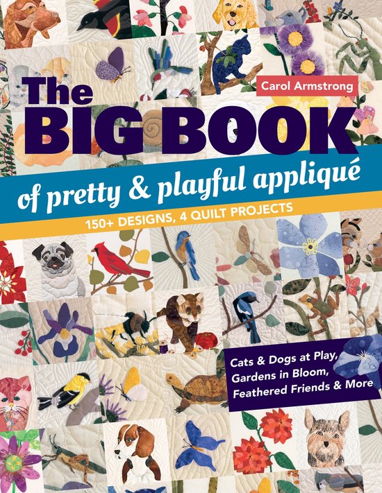 Big Book of Pretty & Playful Appliqué - cover