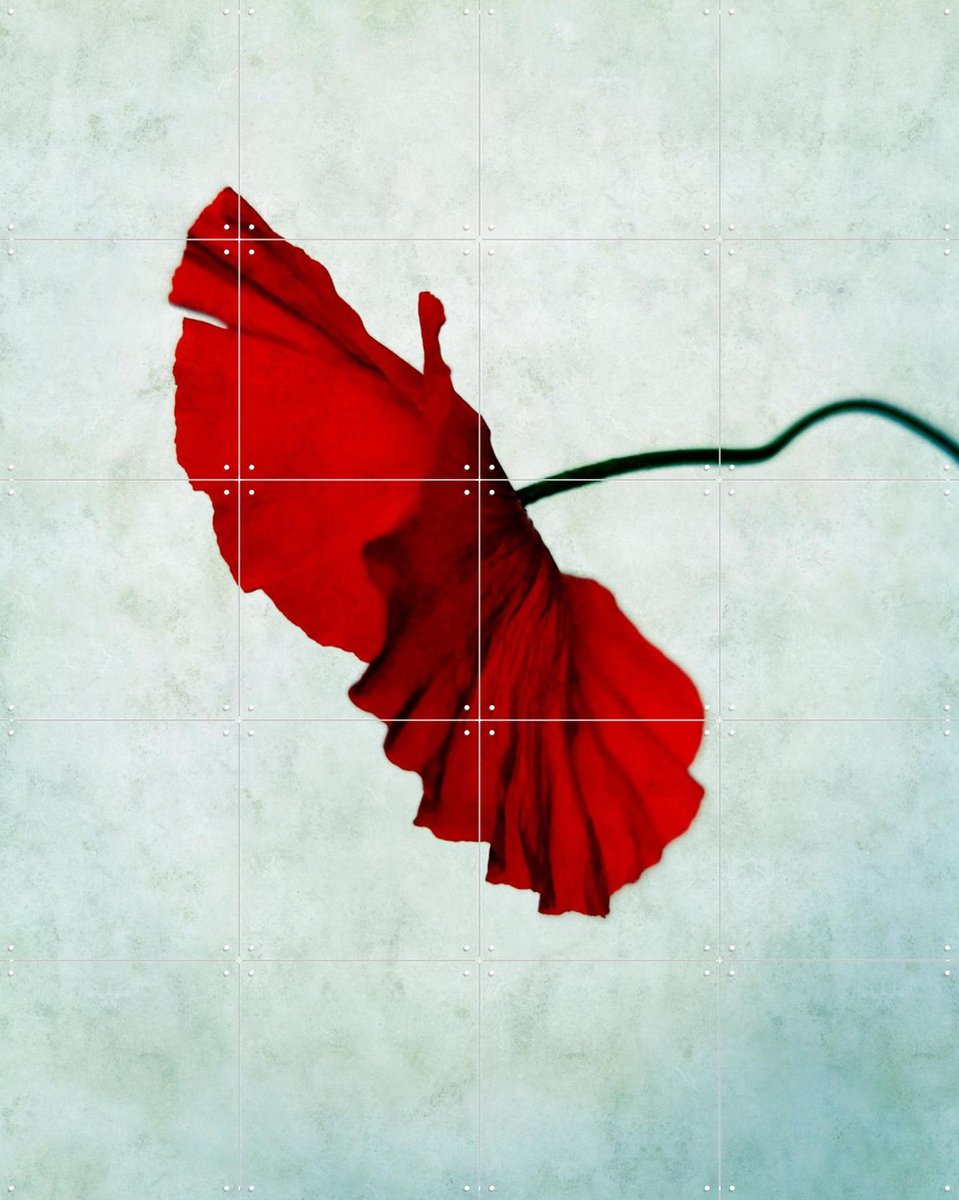 IXXI Red, Angelo Cerantola - 80 x 100 cm - Gratis ophangtool - Grote wanddecoratie en posters - Kleurrijk, Minimalisme, Fotografie, Slaapkamer