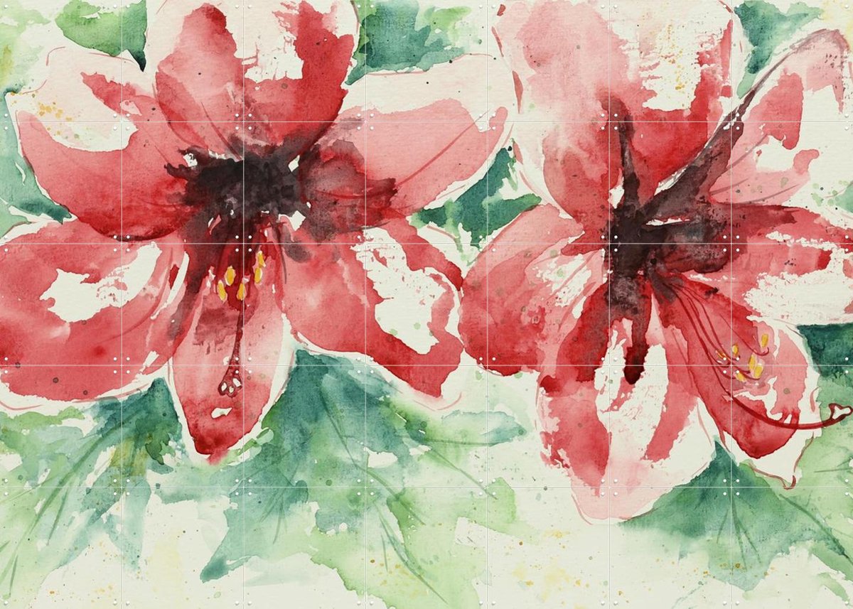 IXXI Amaryllis, Natalie Bruns - 140 x 100 cm - Gratis ophangtool - Grote wanddecoratie en posters - Kleurrijk, Aquarel, Impressionisme, Woonkamer