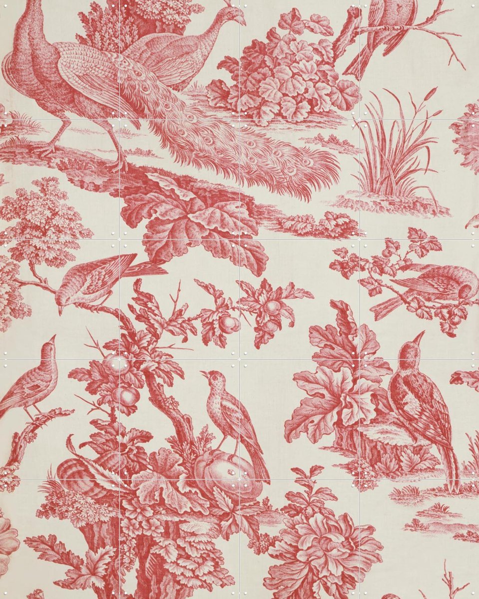 IXXI Birds and Fruit, Victoria and Albert Museum - 80 x 100 cm - Gratis ophangtool - Grote wanddecoratie en posters - Vintage, Klassiek, Houtsnede
