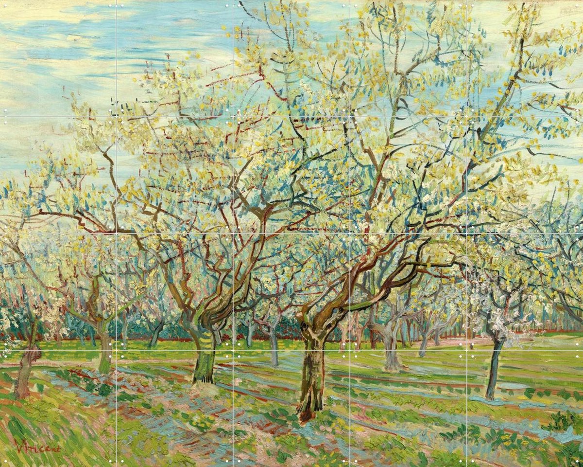 IXXI De witte boomgaard (1888), Vincent van Gogh (1853 - 1890) & Van Gogh Museum - 100 x 80 cm - Gratis ophangtool - Grote wanddecoratie en posters -