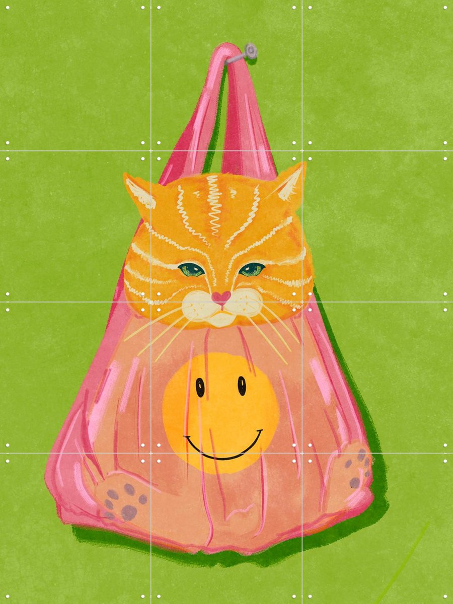IXXI Cat In A Bag, Raissa Oltmanns - 60 x 80 cm - Gratis ophangtool - Grote wanddecoratie en posters - Cartoonesk, Kleurrijk, Illustraties