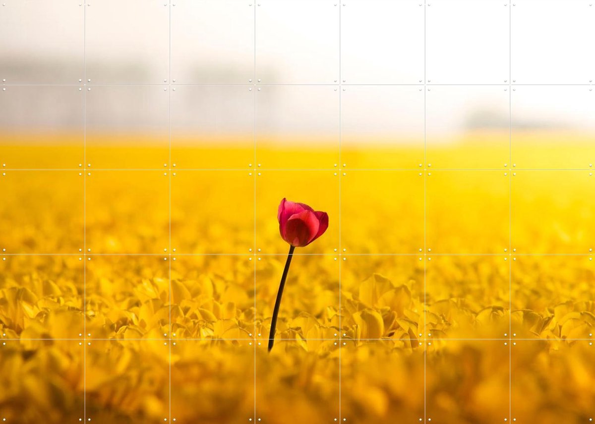 IXXI Dutch Rebels Idealist, Claire Droppert - 140 x 100 cm - Gratis ophangtool - Grote wanddecoratie en posters - Minimalisme, Fotografie