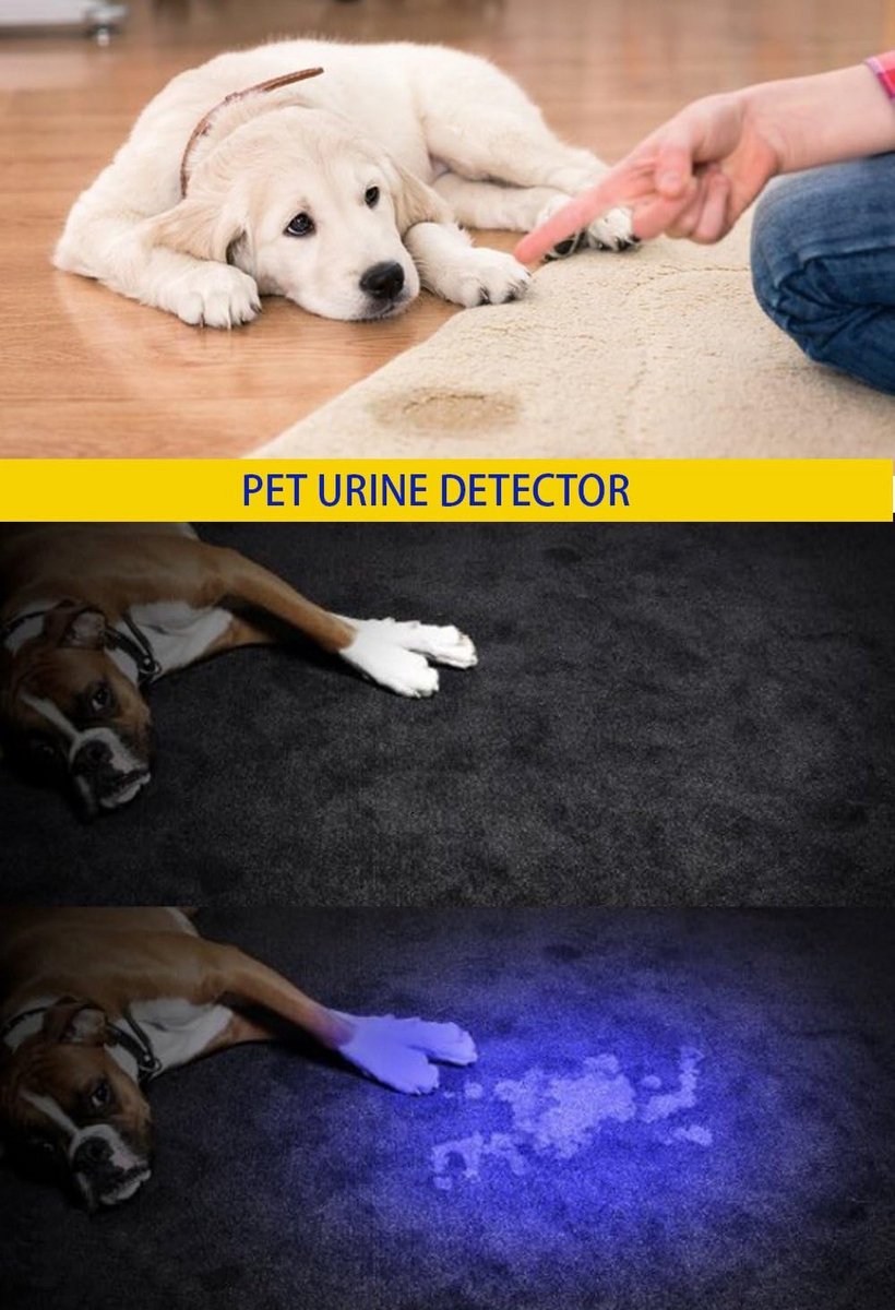 UV Zaklamp - Zwart Licht Detector - Huisdier Urine Zoeken - USB Oplaadbaar - Mini Formaat