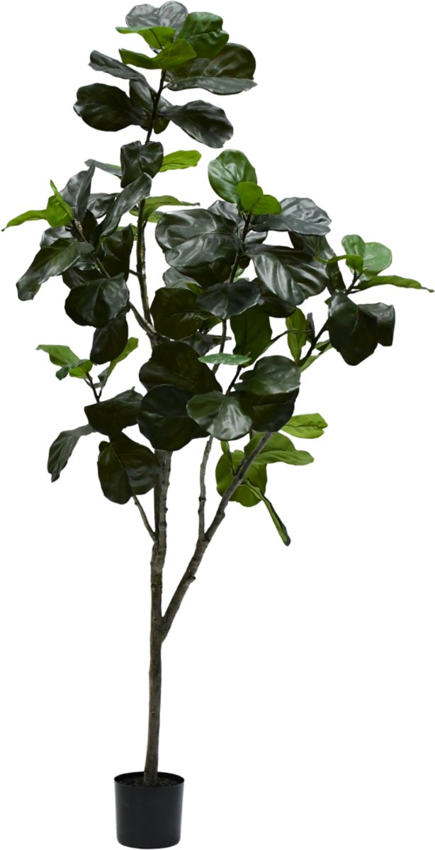 Silk-ka Kunstplant voor Binnen Ficus Groen 180 cm