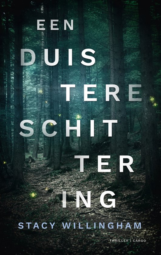 Een duistere schittering - cover