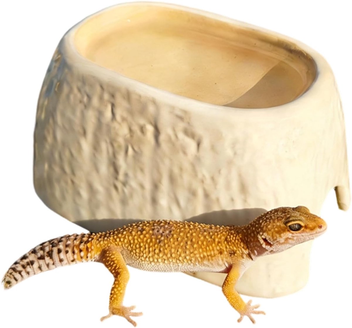Reptielenholte Keramiek - Verstopplaats Terrarium - Veilige Schuilplek - Met Voerbak - 15 x 10.3 cm - Meerkleurig