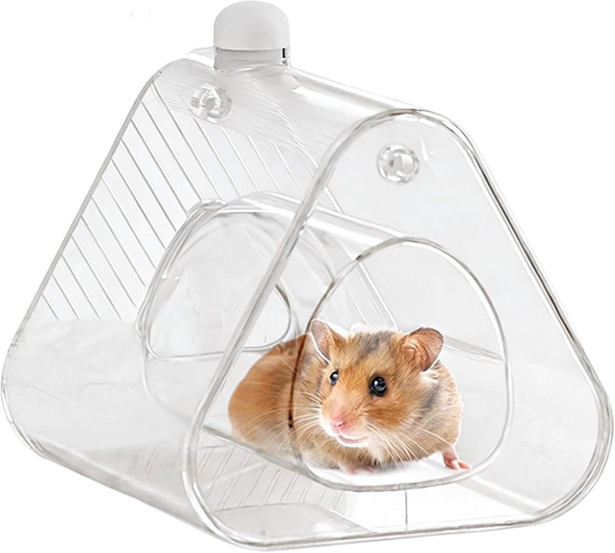 Koelhuis Knaagdier - Habitat Warm Weer - Directe Koeling - Veilig Doorzichtig - 16 x 15 x 15 cm