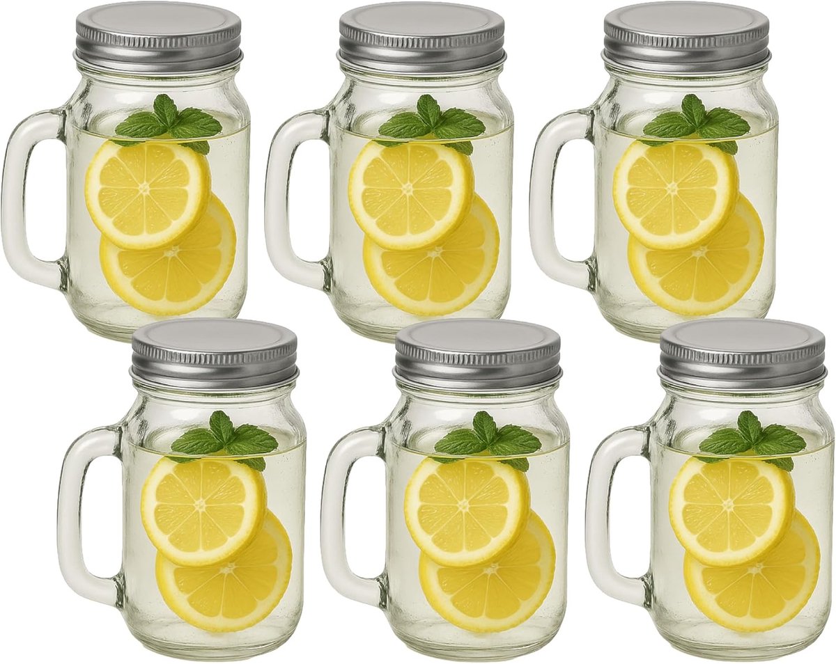 Set van 6 Grote Drinkglazen 450 ml met Deksel en Handvat - Voor Tuin en Balkon