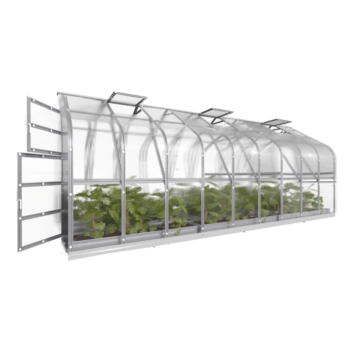Klasika Serre polycarbonate 2,5x6m 15m² + 3 lucarnes automatiques