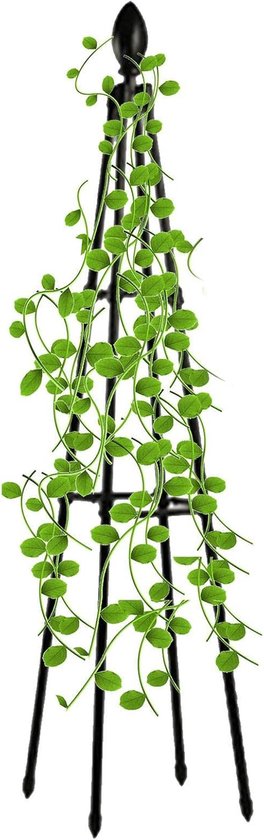 Klimplantsteun Metaal - Plantenrek Tuin - Planten Ondersteunen - Roestvrij en Weerbestendig - 80 cm Hoog - Zwart