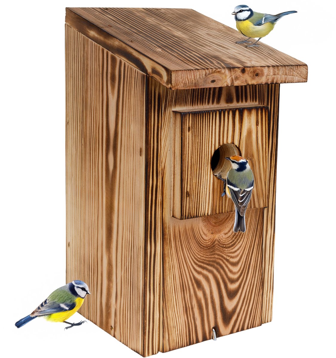 Creative Home nestkast voor vogels voor buiten Weerbestendig | Gevlamd | Vogelnestkast van grenenhout | Bescherming tegen nestrovers | Vogelhuisje voor mezen, mussen, matkopjes, spreeuwen