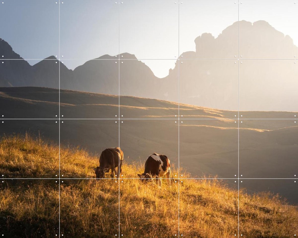 IXXI Trentino Cows in the Dolomites, Claire Droppert - 100 x 80 cm - Gratis ophangtool - Grote wanddecoratie en posters - Realisme, Fotografie