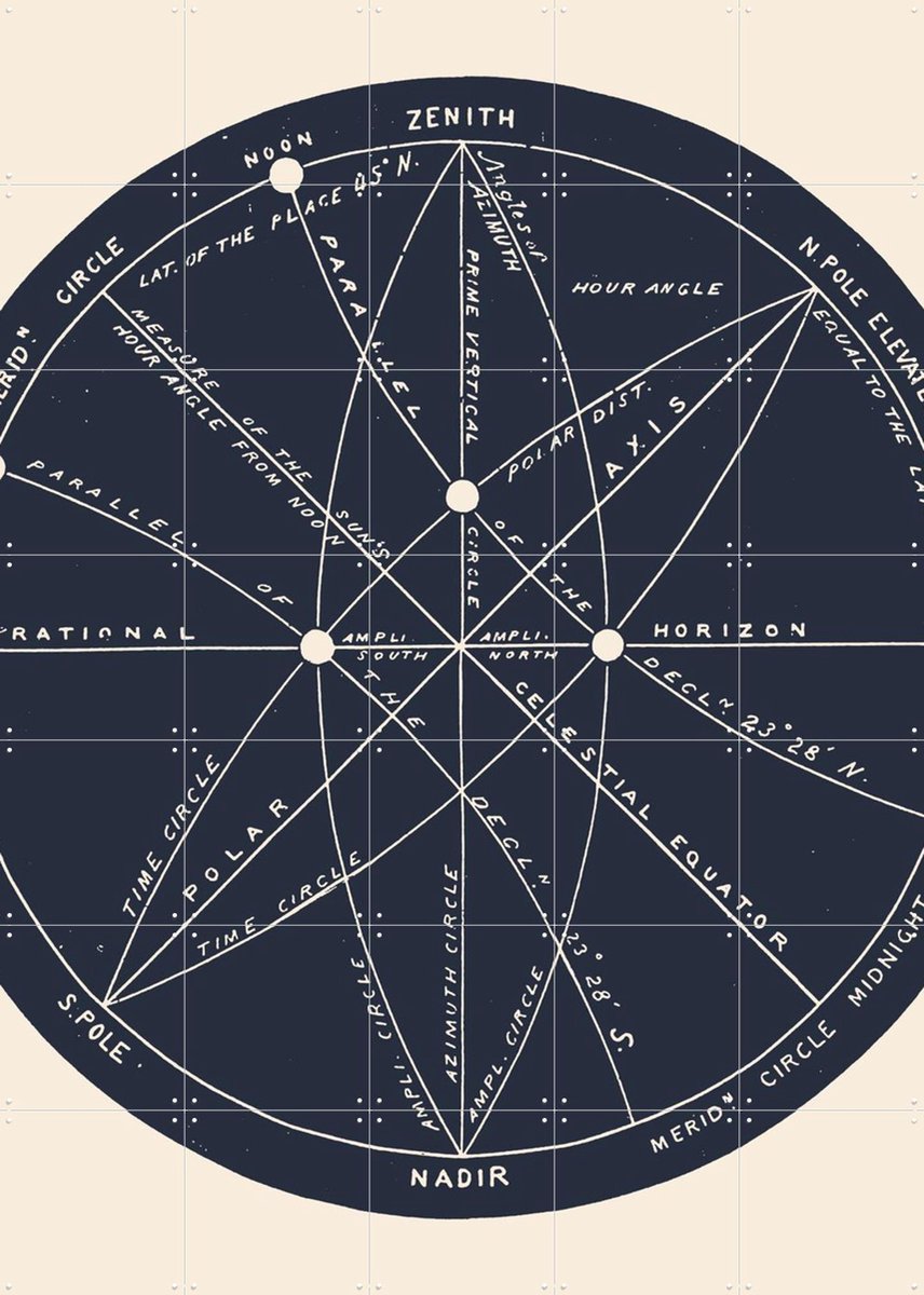 IXXI Meridians, Aster Edition - 100 x 140 cm - Gratis ophangtool - Grote wanddecoratie en posters - Geometrische Kunst, Vintage, Technische Tekening