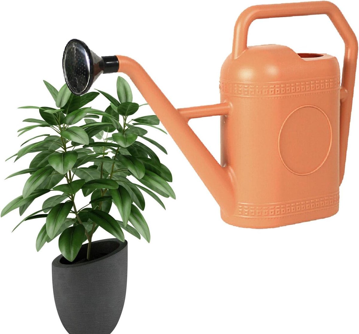 Gieter 5 Liter - Plantenbewateraar - Planten Verzorgen - Dubbele Handgreep - 30 x 20 x 30 cm - Rood