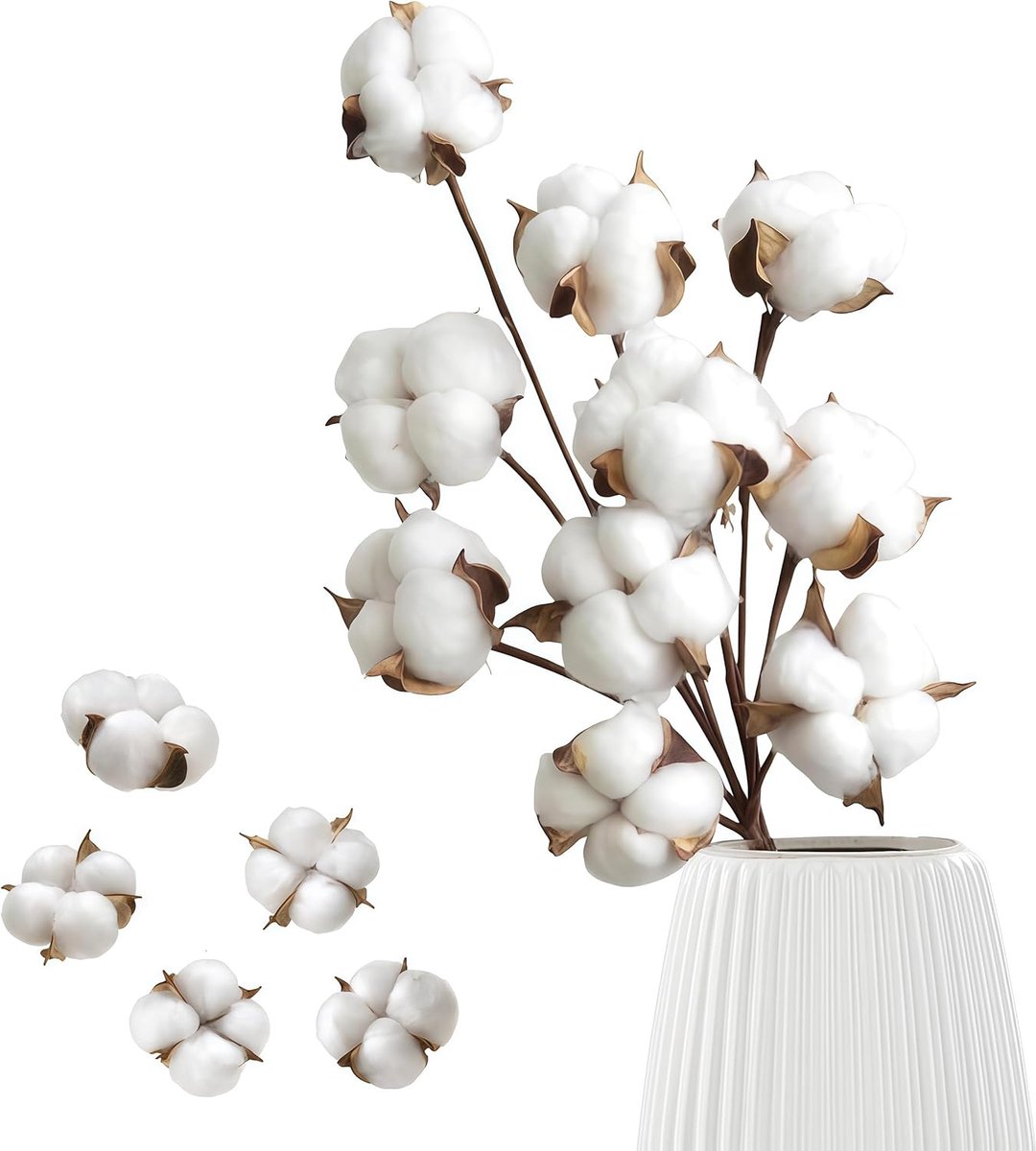 Gedroogde Katoenbloemen - Droogboeket Bloemtakken - Decoratie Arrangementen - Natuurlijke Textuur - 42cm Steel Lengte - Wit