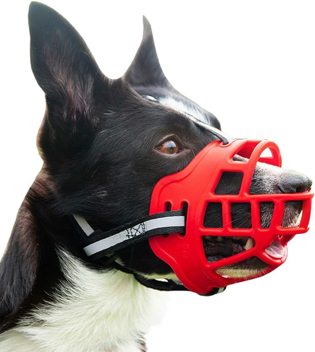 Honden muilkorf - Anti-bijt - Veiligheid - Verstelbaar - XL - Rood