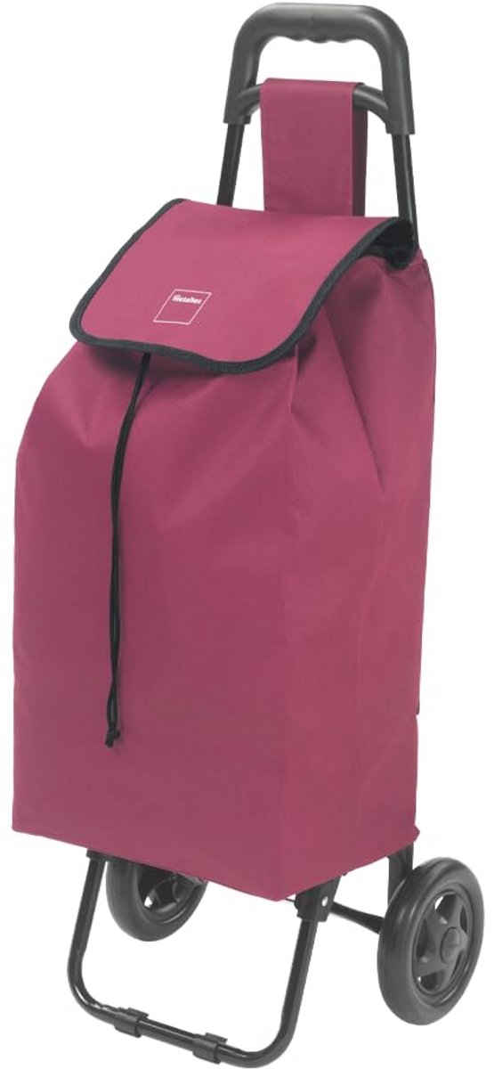 Boodschappentrolley 40 Liter met Afneembare Tas en Parapluhouder