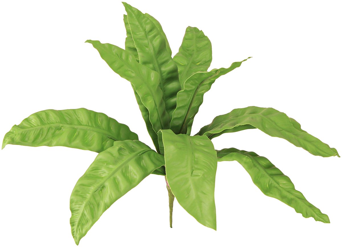 Viana Nestvaren kunstplanten in groen 5,5×22cm 2st, 2 Stück groente