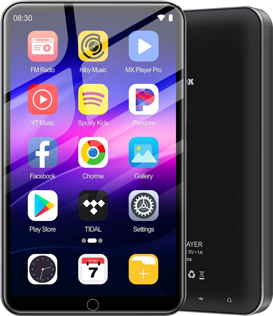 Grote MP3 Speler met WiFi en Bluetooth, 80 GB Opslag