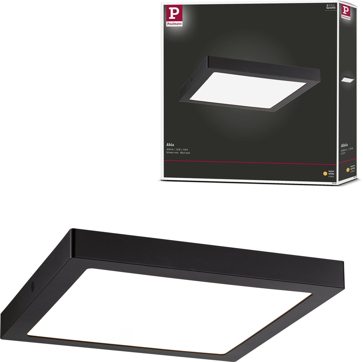 LED-paneel Abia hoekig 300x300 mm 22W 2200lm 2700K Zwart