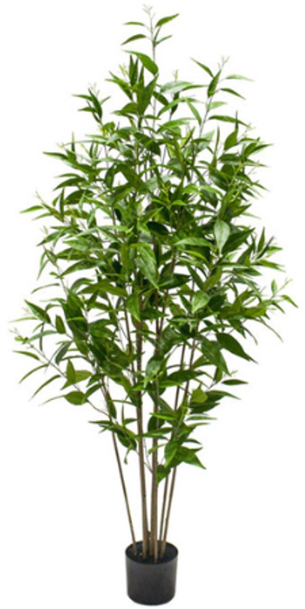 NeverLeafs Eucalyptus kunstplant Deluxe - 180 cm