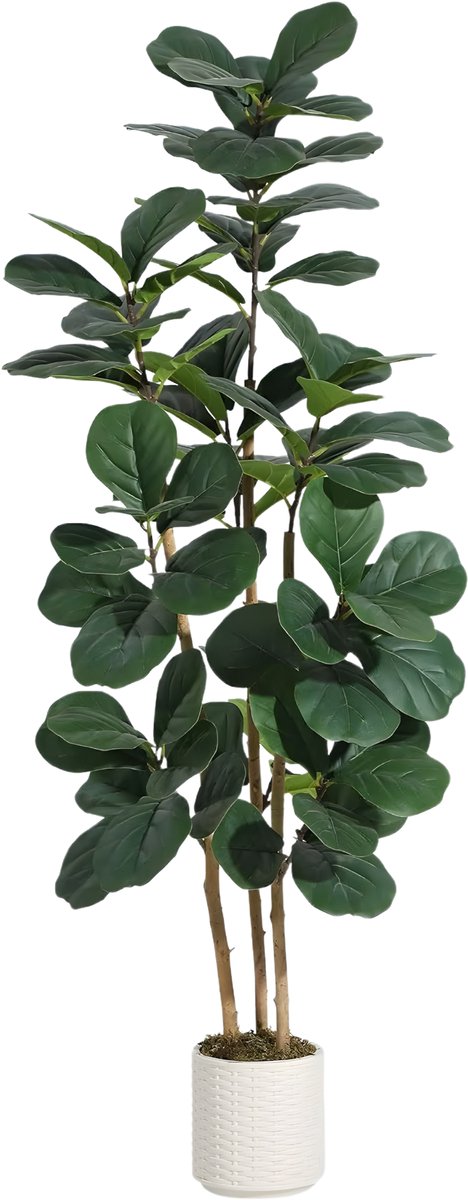 Happiq Kunstmatige Ficus Lyrata - Voor Binnen & Woonkamer - Kunstplant met Natuurlijke Houten Stam en Buigzame Bladeren - Groen-180cm Green
