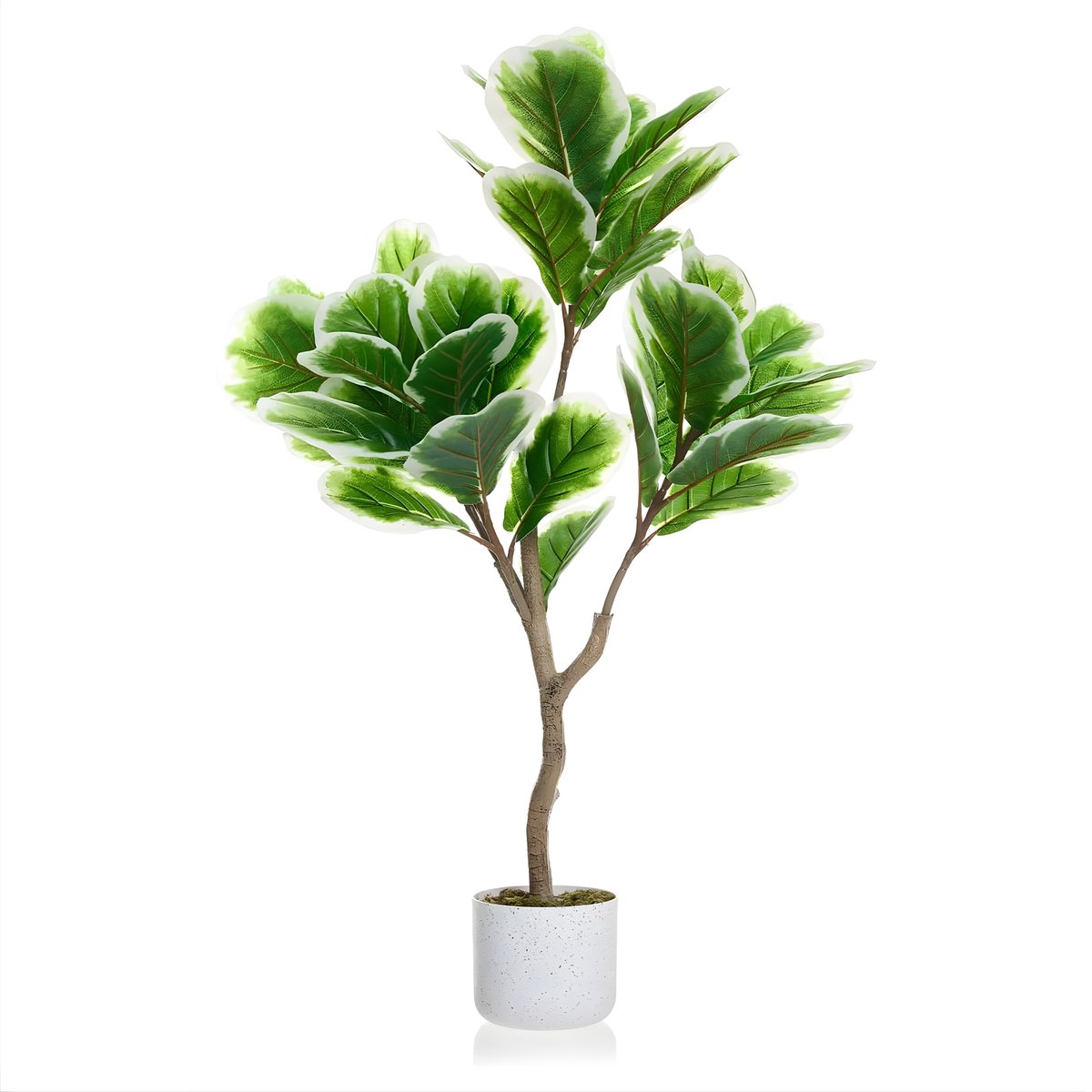 Happiq Kunstmatige ficusboom - Voor thuiskantoor of woonkamer - 100 cm vioolblad vijgenboom - Met witte plantenbak, kofferbak en bladeren - Groen-100cm Green