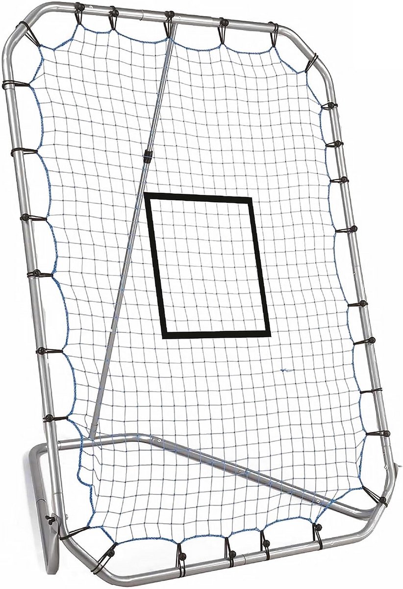 Trainingsscherm Honkbal met Verstelbare Hoek en Net