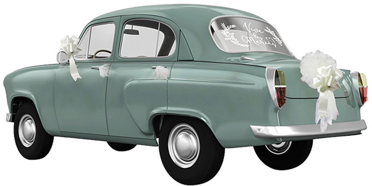 CHAKS - Decoratieset voor auto 'Leve het bruidspaar' 6-delig van tule