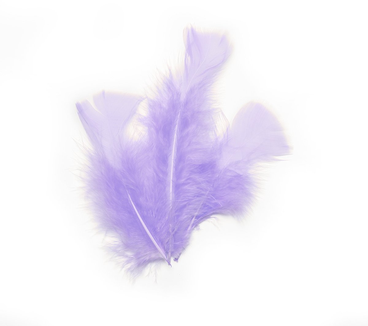 HOBI - 20 paarse decoratieveren 5,5 cm pastel lila