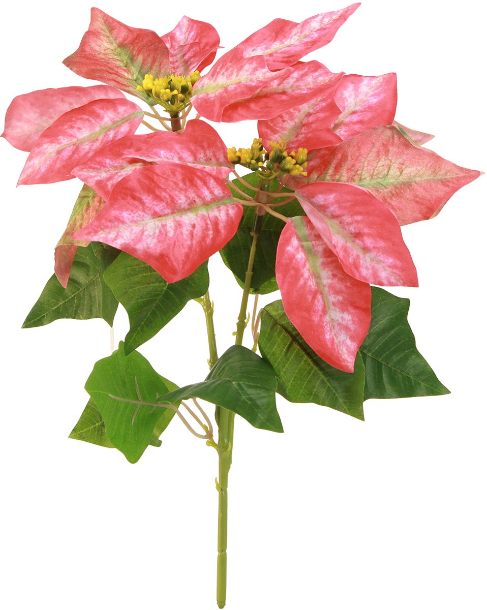 Viana Kunst Poinsettia Rood Roze L35cm 6st 2 bosjes, 6 Stück