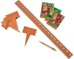 Plantenstarterset met gereedschap en biologische zaden voor groenten