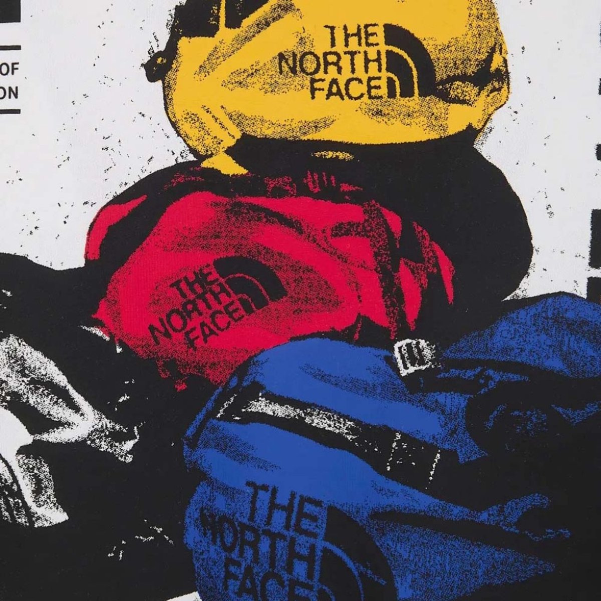 THE NORTH FACE NF0A8GAQFN41 L EU Wit