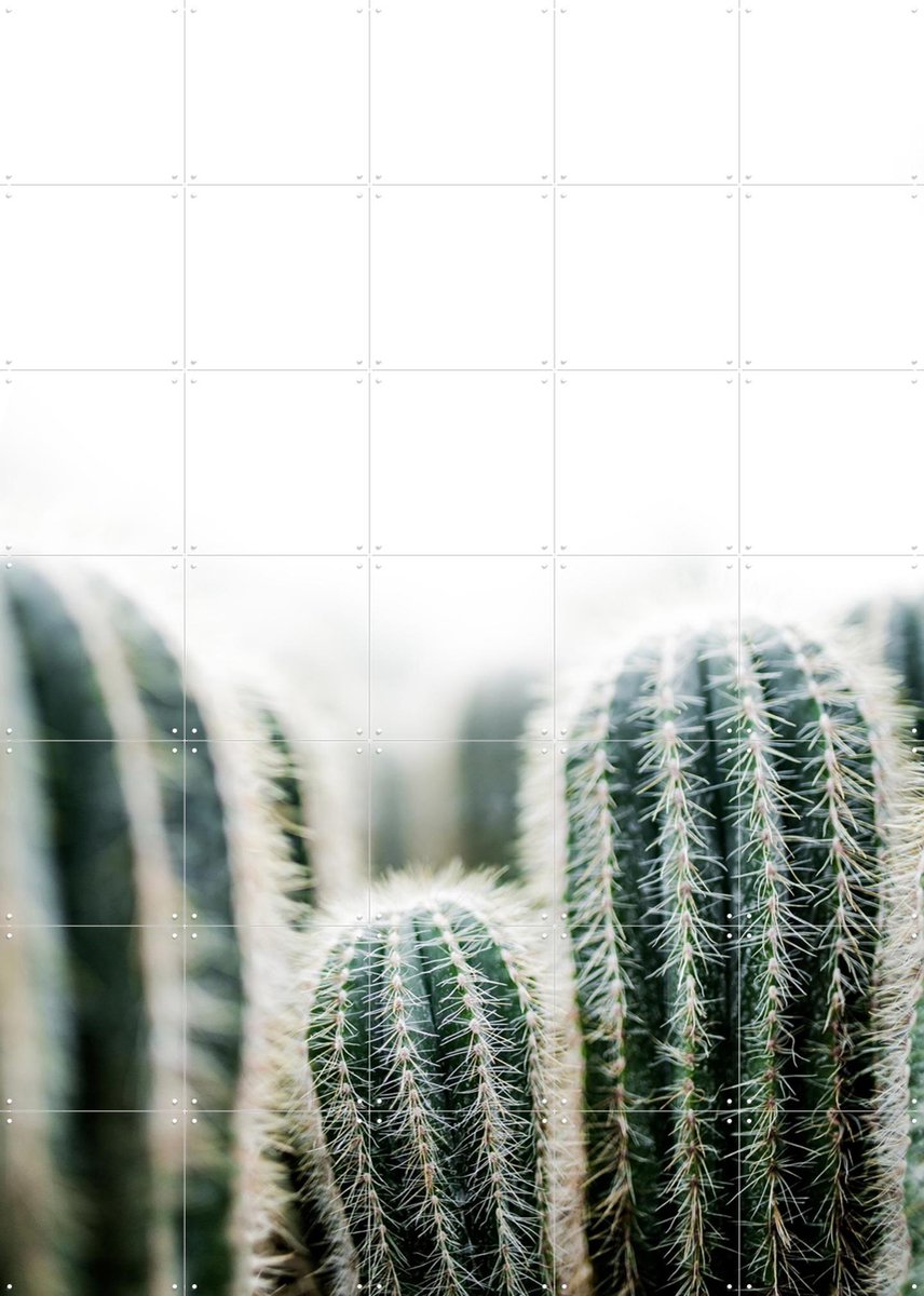 IXXI Cactus, Mareike Böhmer - 100 x 140 cm - Gratis ophangtool - Grote wanddecoratie en posters - Fotografie, Minimalisme, Slaapkamer, Woonkamer