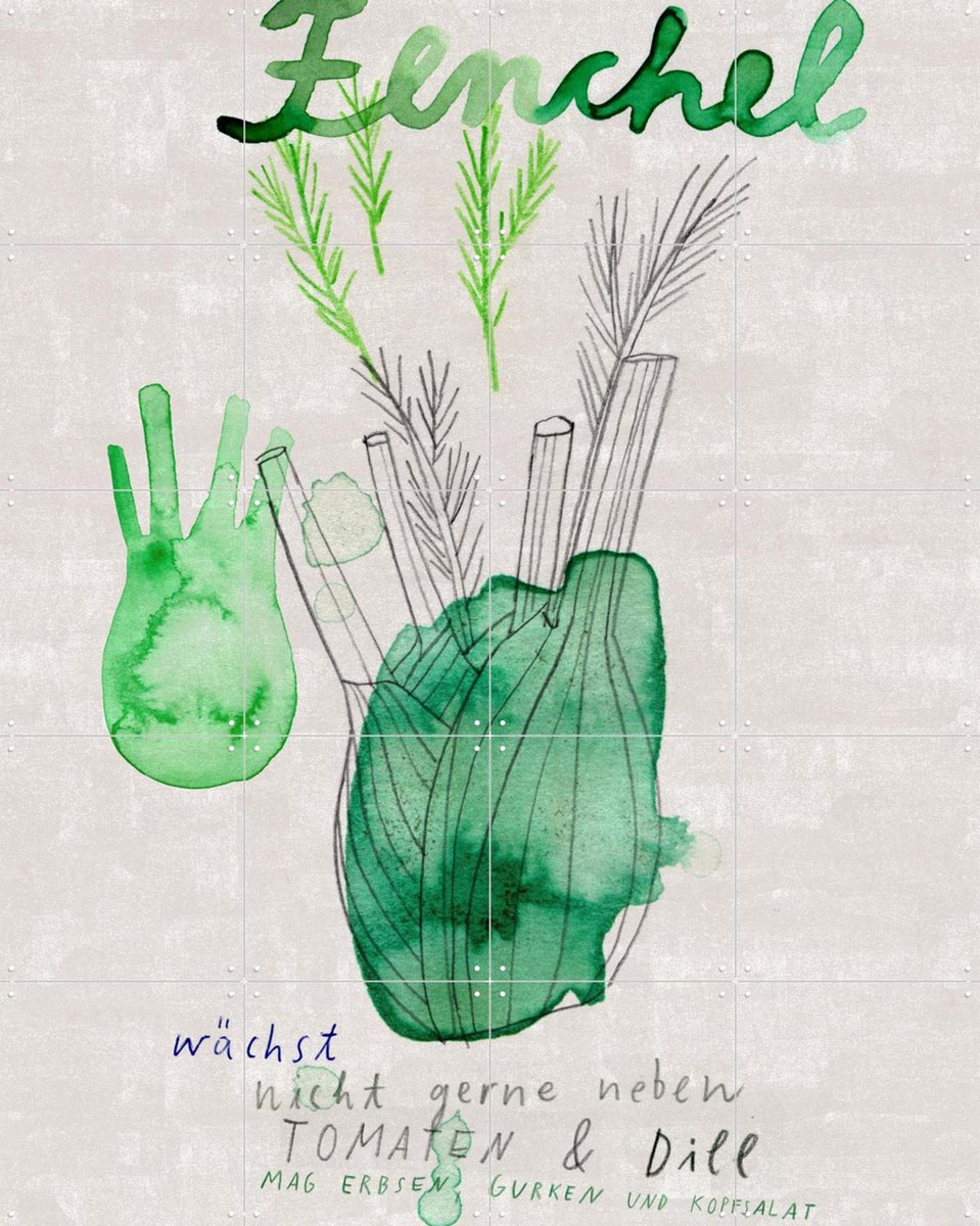 IXXI Fenchel, Signorinah - 80 x 100 cm - Gratis ophangtool - Grote wanddecoratie en posters - Aquarel, Line art, Speels, Illustraties, Keuken