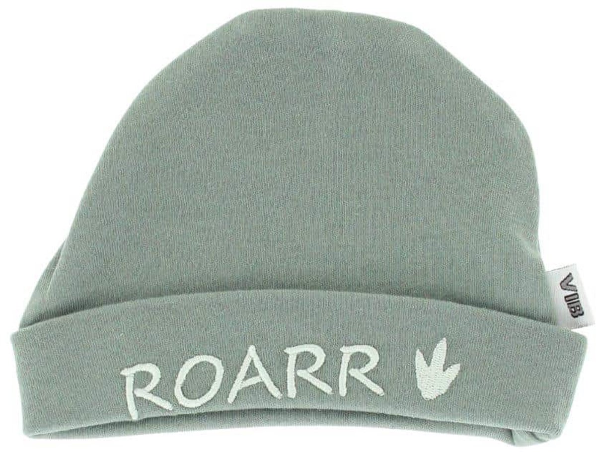 VIB® - Muts 'ROARR' mosgroen (0-3 m) - Babykleertjes - baby muts - baby muts newborn - baby mutsje - baby cadeau - kraam cadeau - baby aankodiging